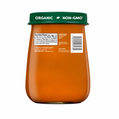 Beech-Nut Organic Stage 1 Sweet Potato Baby Food Jar - Sweet Potato