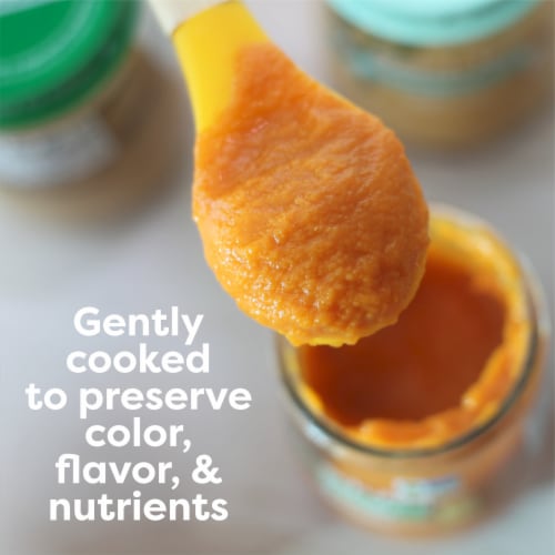 Beech-Nut Organics Apple Pumpkin & Granola Baby Food Jar - Apple Pumpkin & Granola