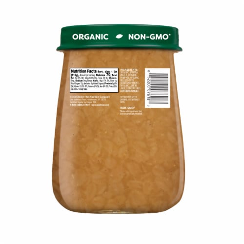 Beech-Nut Organics Banana Pumpkin Oats Baby Food Jar - Banana Pumpkin Oats