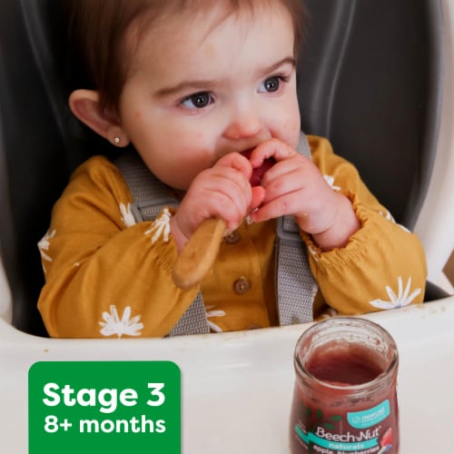 Beech-Nut Organics Banana Pumpkin Oats Baby Food Jar - Banana Pumpkin Oats