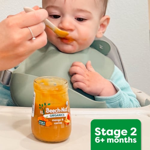 Beech-Nut Organics Stage 2 Prunes Pears Baby Food Jar - Prunes Pears