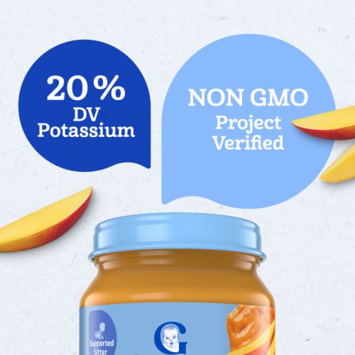 Gerber 1st Foods Natural for Baby Baby Food Mango - Mango