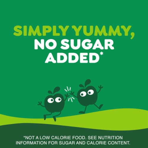 GoGo squeeZ No Sugar Added Apple Applesauce and Fruit Puree - GoGo squeeZ No Sugar Added Apple Applesauce and Fruit Puree