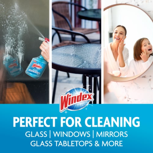 Windex® Glass Cleaner, Original Blue, Spray Bottle, 23 fl oz - Windex® Glass Cleaner, Original Blue, Spray Bottle, 23 fl oz