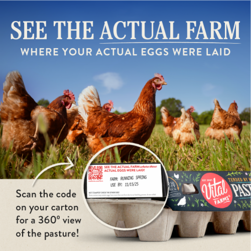 Vital Farms Pasture-Raised Large Brown Grade-A Organic Eggs - 12 ct / XL Pasture Raised