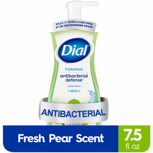 Dial® Antibacterial Defense™ Fresh Pear Scent Foaming Hand Soap - Dial® Antibacterial Defense™ Fresh Pear Scent Foaming Hand Soap