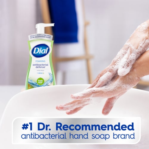 Dial® Antibacterial Defense™ Fresh Pear Scent Foaming Hand Soap - Dial® Antibacterial Defense™ Fresh Pear Scent Foaming Hand Soap