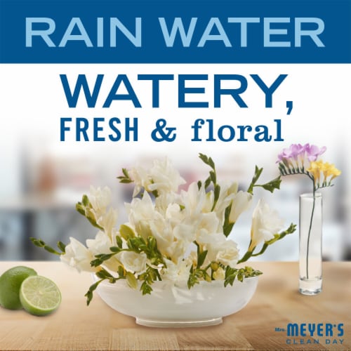 Mrs. Meyer's Clean Day Hand Soap, Rain Water, Made Without Parabens or Phthalates - Mrs. Meyer's Clean Day Hand Soap, Rain Water, Made Without Parabens or Phthalates