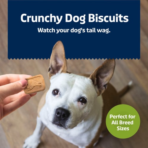 Blue Buffalo Health Bars Crunchy Biscuits Dog Treats Natural Apple & Yogurt - Blue Buffalo Health Bars Crunchy Biscuits Dog Treats Natural Apple & Yogurt
