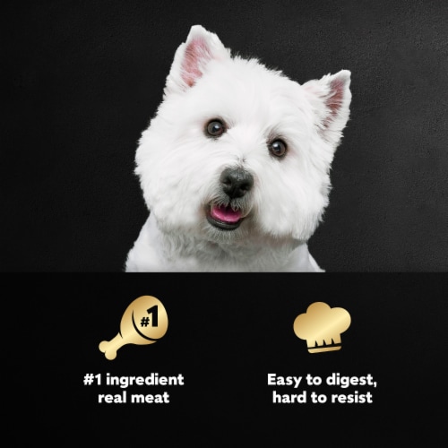 Cesar Adult Soft Wet Dog Food Beef Recipe Loaf in Sauce - Cesar Adult Soft Wet Dog Food Beef Recipe Loaf in Sauce