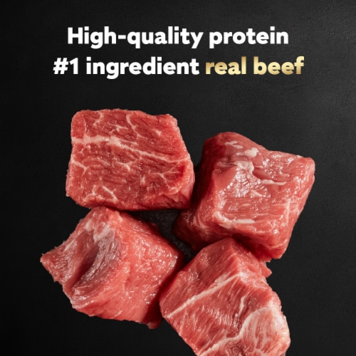 Cesar Adult Soft Wet Dog Food Beef Recipe Loaf in Sauce - Cesar Adult Soft Wet Dog Food Beef Recipe Loaf in Sauce