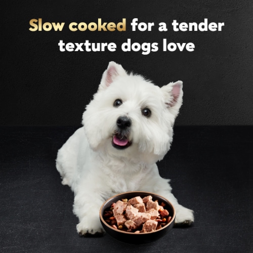 Cesar Adult Wet Dog Food Rotisserie Chicken with Bacon & Cheese Loaf & Topper in Sauce - Cesar Adult Wet Dog Food Rotisserie Chicken with Bacon & Cheese Loaf & Topper in Sauce