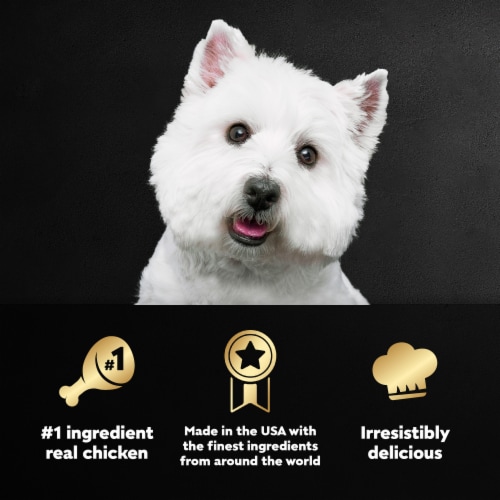 Cesar Home Delights Adult Soft Wet Dog Food Slow Cooked Chicken & Vegetables - Cesar Home Delights Adult Soft Wet Dog Food Slow Cooked Chicken & Vegetables