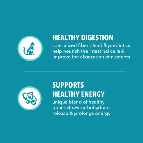 Iams Proactive Health Adult Dry Cat Food Indoor Weight Control & Hairball Care Chicken & Turkey - Iams Proactive Health Adult Dry Cat Food Indoor Weight Control & Hairball Care Chicken & Turkey