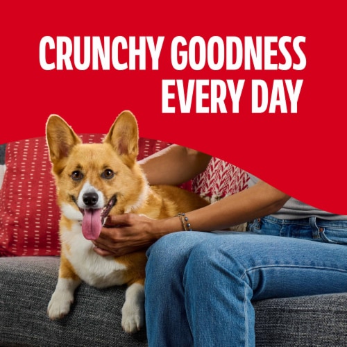 Milk-Bone Flavor Snacks Mini’s Dog Biscuits, Flavored Crunchy Dog Treats, 15 Oz. Box - Milk-Bone Flavor Snacks Mini’s Dog Biscuits, Flavored Crunchy Dog Treats, 15 Oz. Box