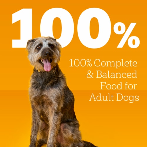 Pedigree Chopped Ground Dinner Adult Soft Wet Dog Food Pouch Beef Bacon & Cheese - Pedigree Chopped Ground Dinner Adult Soft Wet Dog Food Pouch Beef Bacon & Cheese