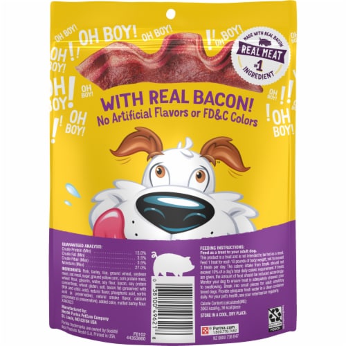 Purina Beggin' Strips Original Dog Treats with Bacon Flavor - Purina Beggin' Strips Original Dog Treats with Bacon Flavor