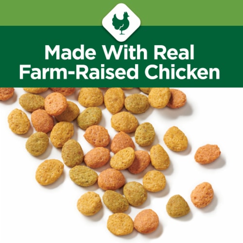 Purina Cat Chow Indoor Hairball + Healthy Weight Adult Dry Cat Food Real Chicken - 3.15 lb