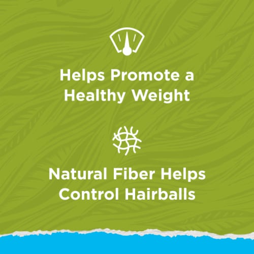 Purina Cat Chow Naturals Indoor Dry Cat Food Real Chicken & Turkey - Purina Cat Chow Naturals Indoor Dry Cat Food Real Chicken & Turkey