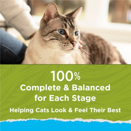 Purina Cat Chow Naturals Indoor Dry Cat Food Real Chicken & Turkey - Purina Cat Chow Naturals Indoor Dry Cat Food Real Chicken & Turkey