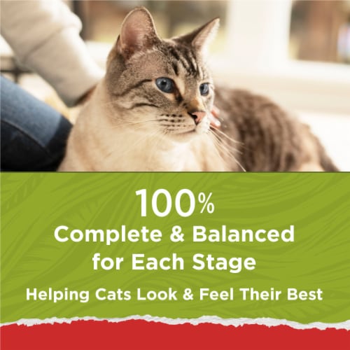 Purina Cat Chow Naturals Original Dry Cat Food Real Chicken & Salmon - Purina Cat Chow Naturals Original Dry Cat Food Real Chicken & Salmon