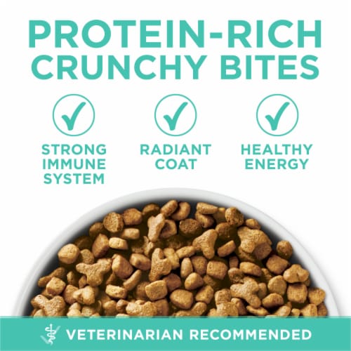 Purina ONE +Plus Sensitive Skin & Stomach Adult Dry Cat Food Real Turkey - Purina ONE +Plus Sensitive Skin & Stomach Adult Dry Cat Food Real Turkey