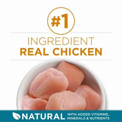 Purina ONE Tender Selects Adult Natural Dry Cat Food Real Chicken - Purina ONE Tender Selects Adult Natural Dry Cat Food Real Chicken
