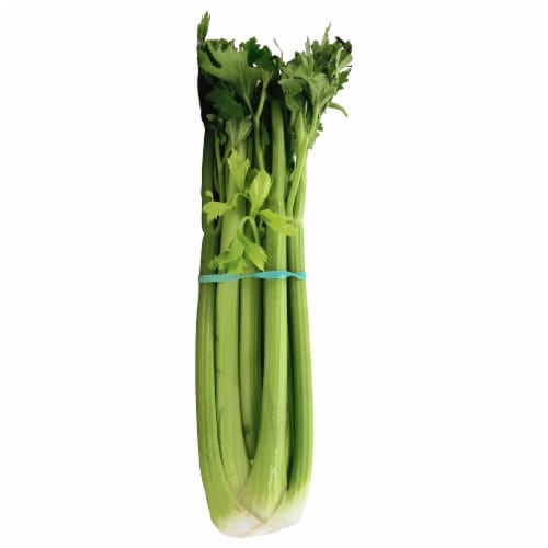 Sleeved Celery, front